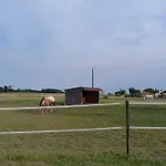 Alojamento de Acomodação e Pequeno-almoço D'hôtes Les 3 Moulins Cozes