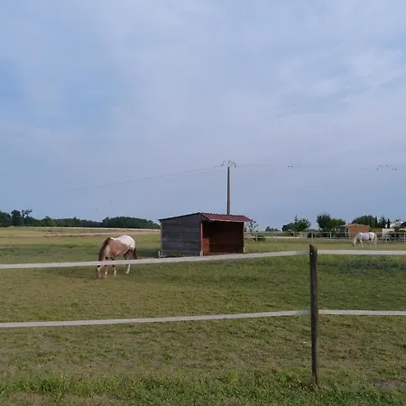 Nocleg ze śniadaniem D'hotes Les 3 Moulins Cozes