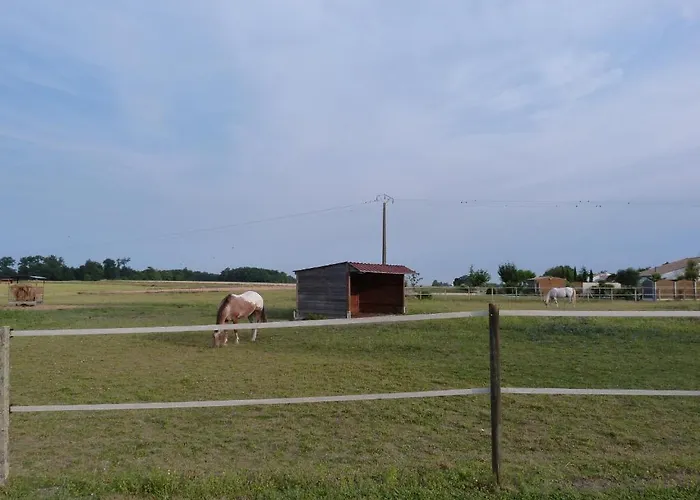 Bed and breakfast D'hotes Les 3 Moulins Cozes