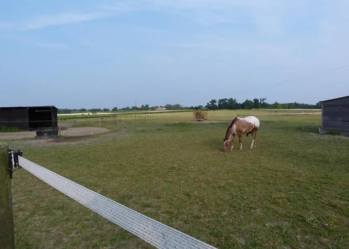 D'hotes Les 3 Moulins Bed and breakfast